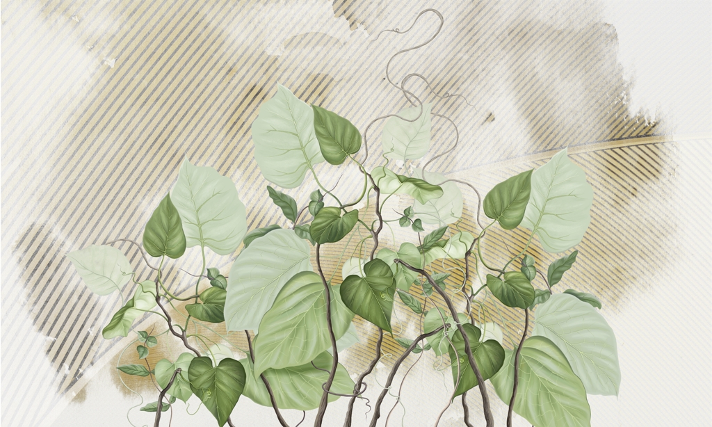 Fototapeta z rośliną pnącą się po jasnej ścianie w paski Zielony Bluszcz - zdjęcie numer 2