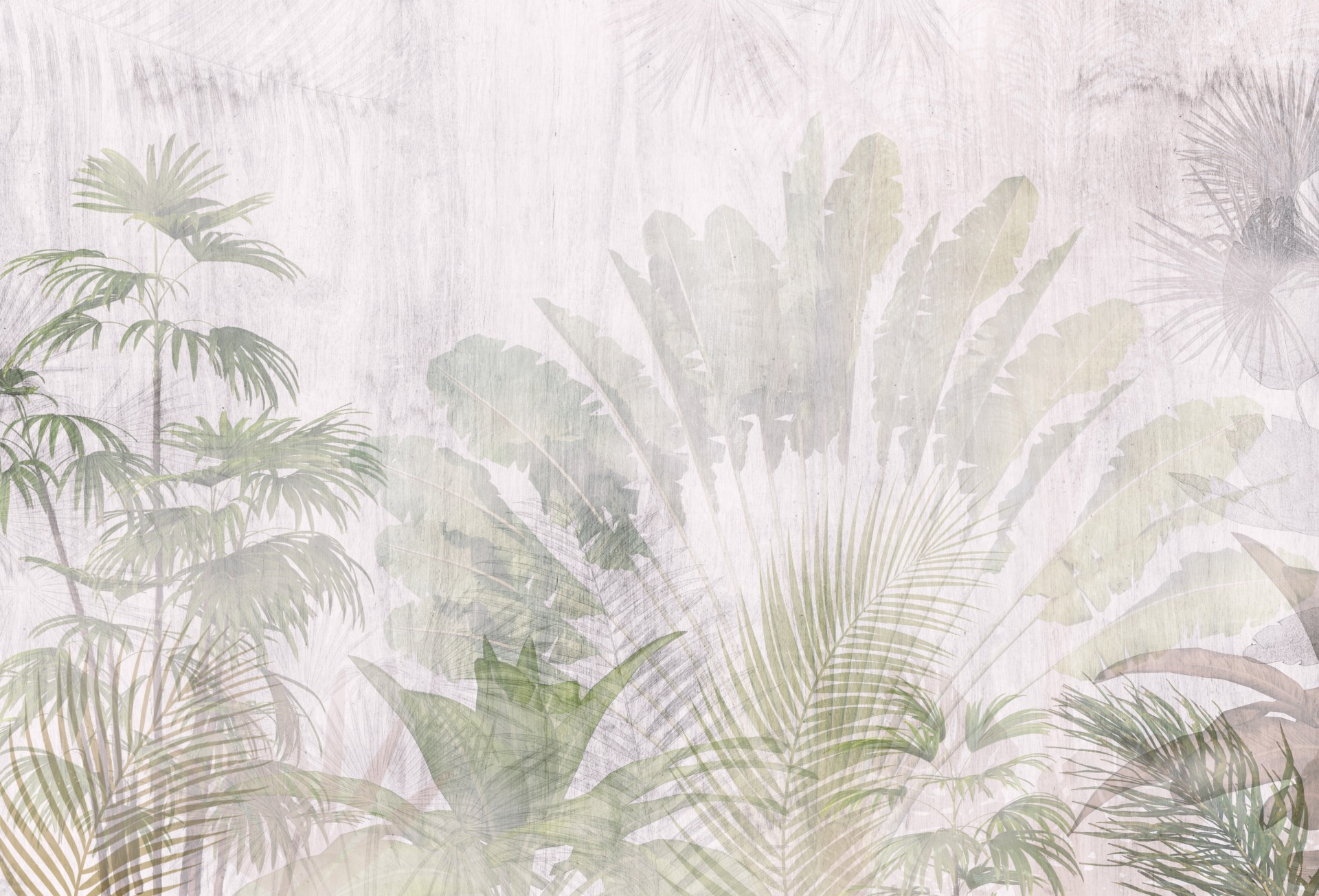 Fototapeta-Wachlarz-w-Bieli_2203091373