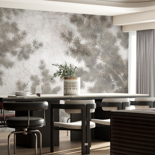 Fototapeta Rośliny Na Spękanej Powierzchni