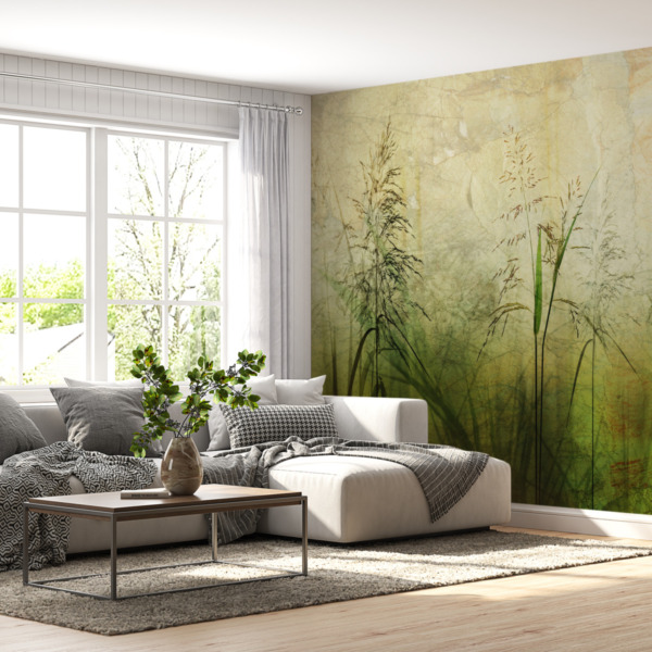 Fototapeta Zieleń Traw