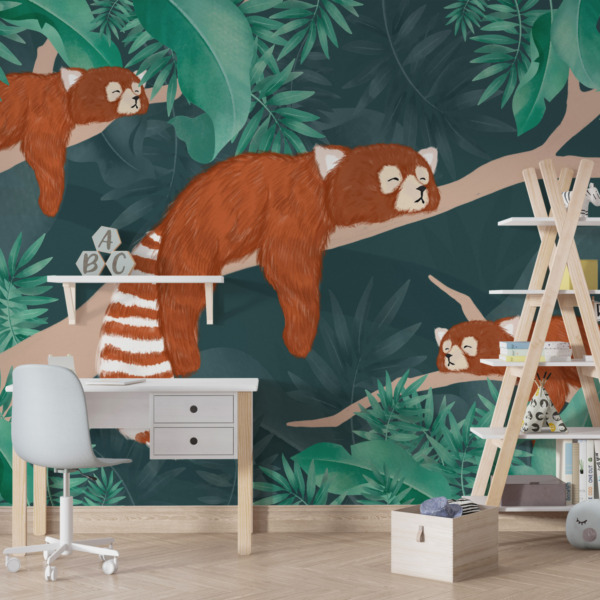 Fototapeta Brązowe Pandy