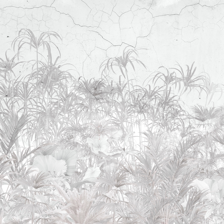 Fototapeta Szare Rośliny Na Ścianie_2243296695'