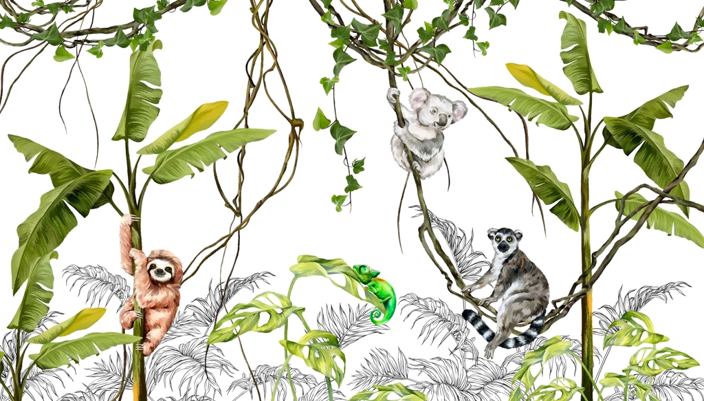 Fototapeta Lemur Na Lianie_2255305225'