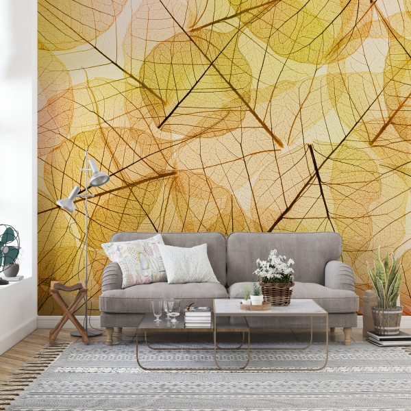 Fototapeta Ściana Kolorowych Liści