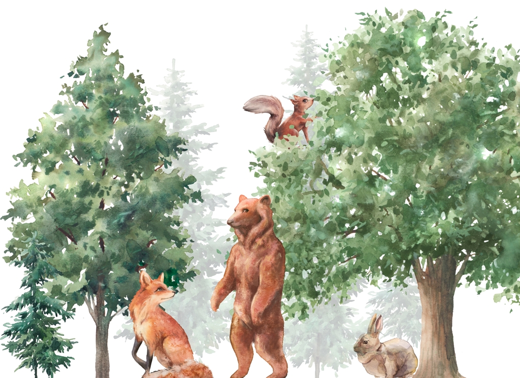 Fototapeta w jasnych kolorach z dzikimi zwierzętami i zielonymi drzewami Leśna Zwierzyna - zdjęcie numer 2