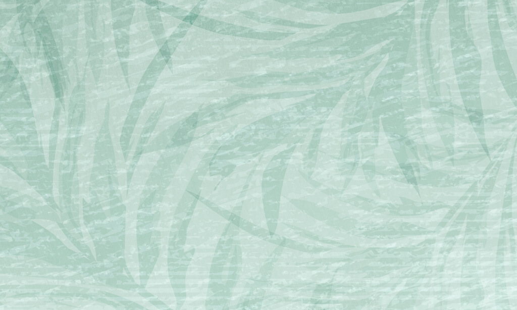 Fototapeta Jasna Ziele+ä_2268823777'