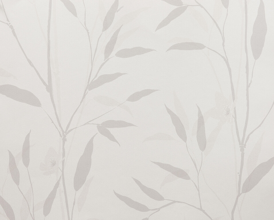 Fototapeta Szara Ro+Ťlina_1146809444'