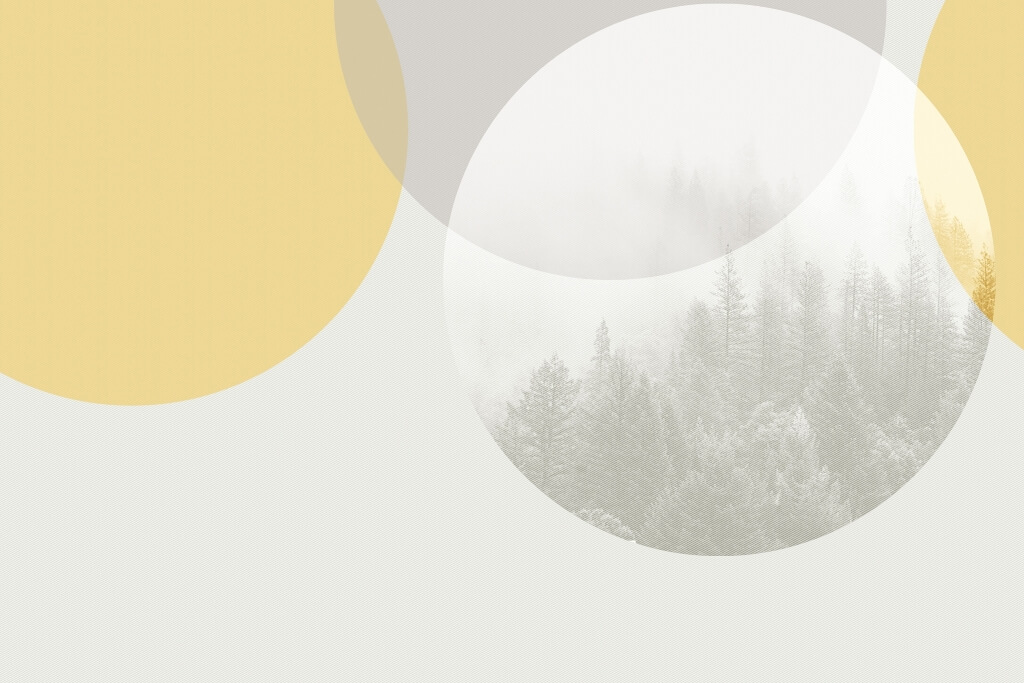 Fototapeta w geometrycznej formie z elementem przyrodniczym Las Zamknięty w Kole - zdjęcie numer 2