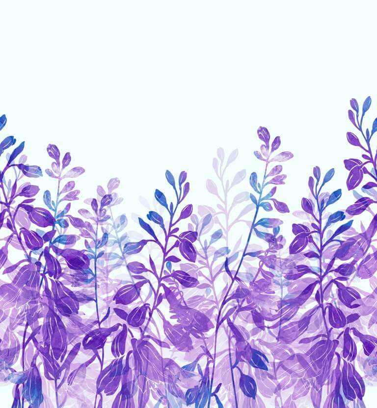 Peinture murale Violet Ro+Ťlin_455286460 Décor mural avec des plantes sauvages dans des tons forts sur un fond clair Plantes violettes - image numéro 2