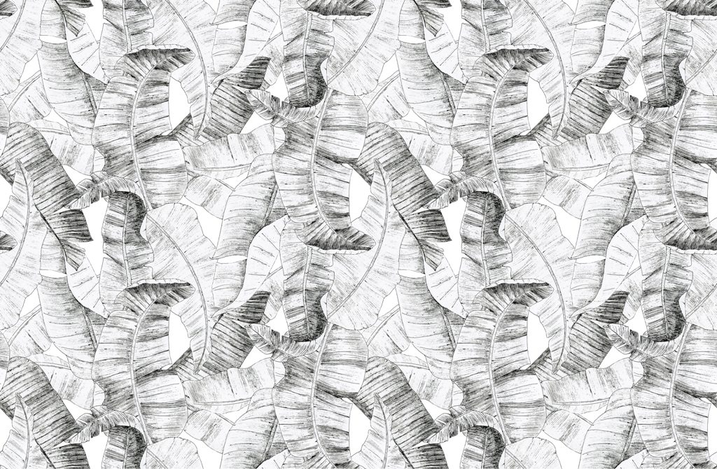 Fototapeta w czerni i bieli z uniwersalnym egzotycznym Rysowane Liście - zdjęcie numer 2