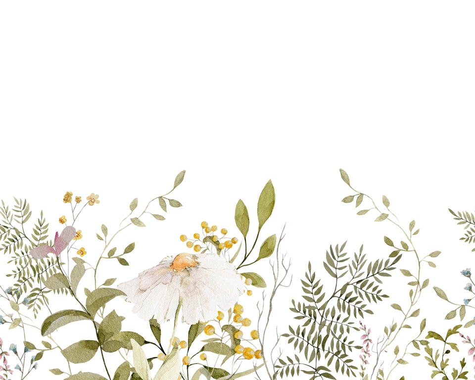 Fototapeta w jasnej tonacji z delikatnym motywem botanicznym Kwiat Rumianku - zdjęcie numer 2