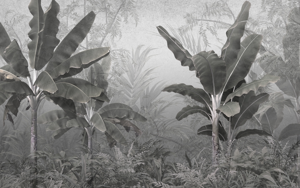 tropiska träd och blad i dimmig skog - 3D-illustration Fototapet i olika nyanser av grafit och grått med ett exotiskt motiv för elegant inredning Dark Jungle - bild nummer 2