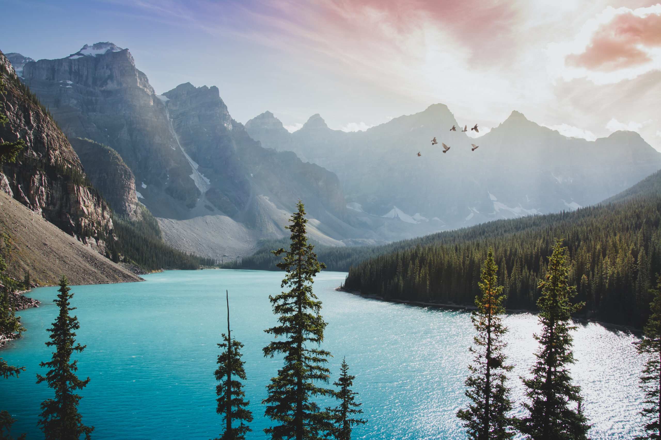 Moraine,Lac,Canada,Apus de soare,Păsări,Zbor