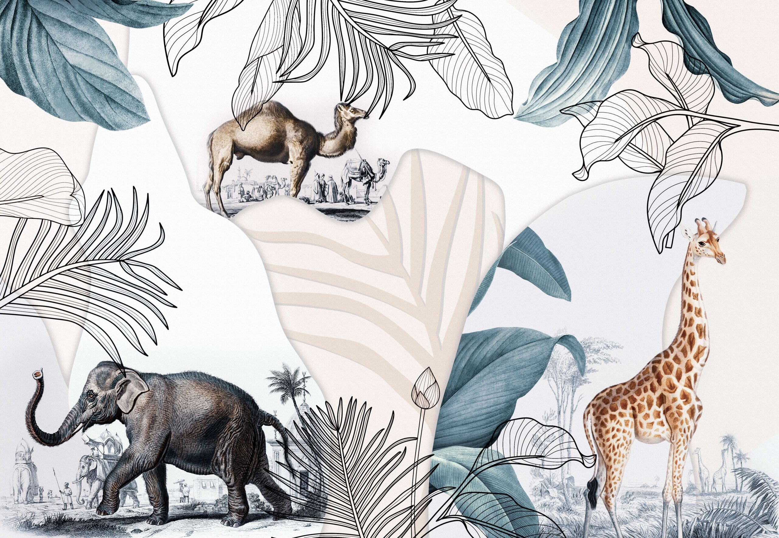 Culoare, Lumea, De, Diferite, Animale,, Diferite, Și, Naturale, Poster, Design
