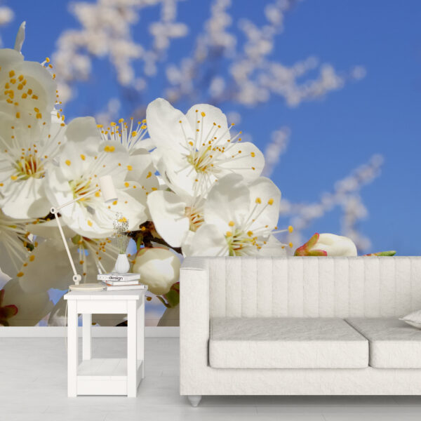 Fototapeta Kwitnące Drzewa