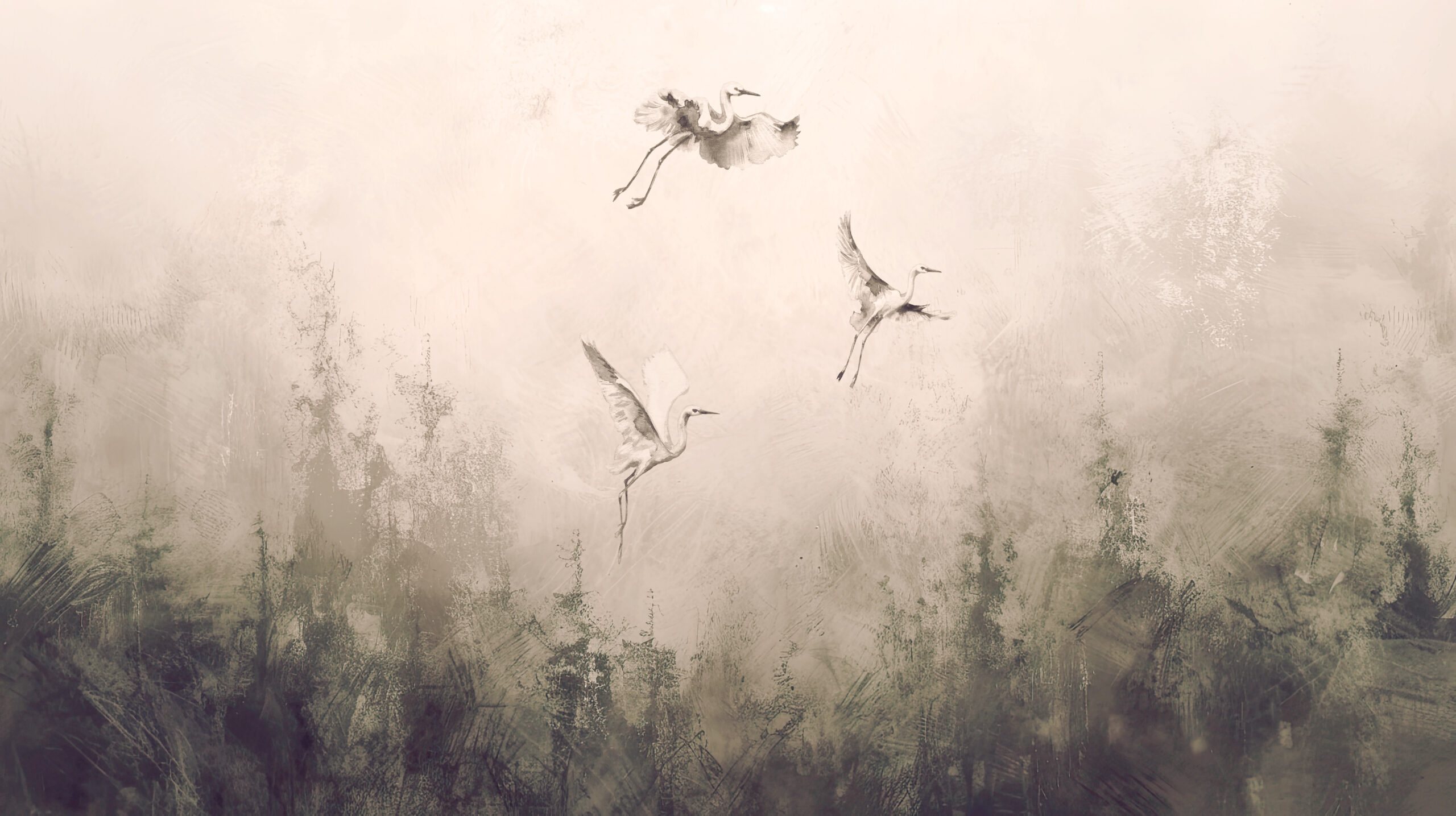 893374544_3-1-scaled