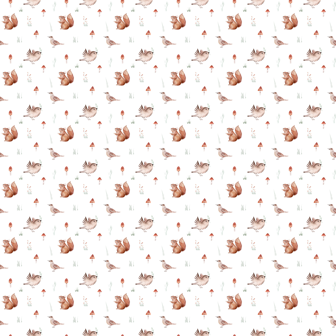 AdobeStock_836376524