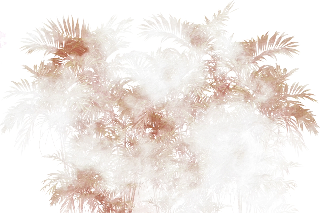 Fototapeta-Brazowa-Palma-We-Mgle_2280961531-1