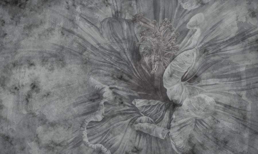 Fototapeta-Ciemny-Kwiat_2140070315-1