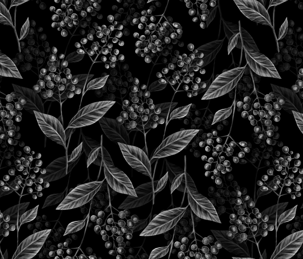 Nástěnná malba Black berries