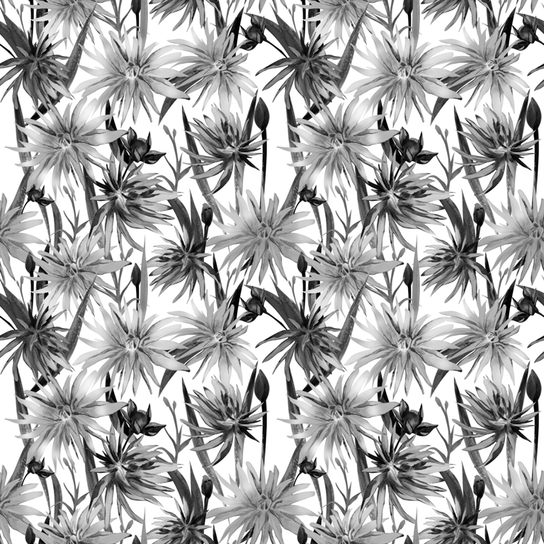 Fototapeta-Czarne-Kwitnace-Kwiaty_1113959189-1