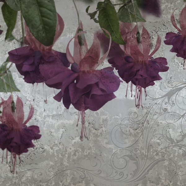 Freska Violetinės gėlės