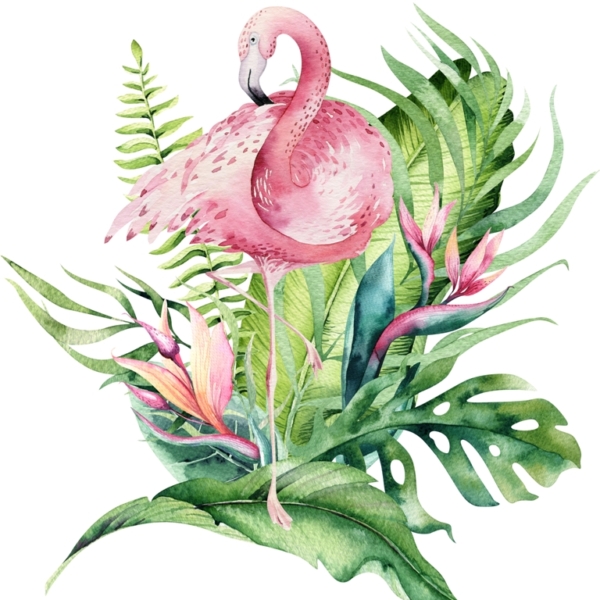 Freska Flamingas lapuose