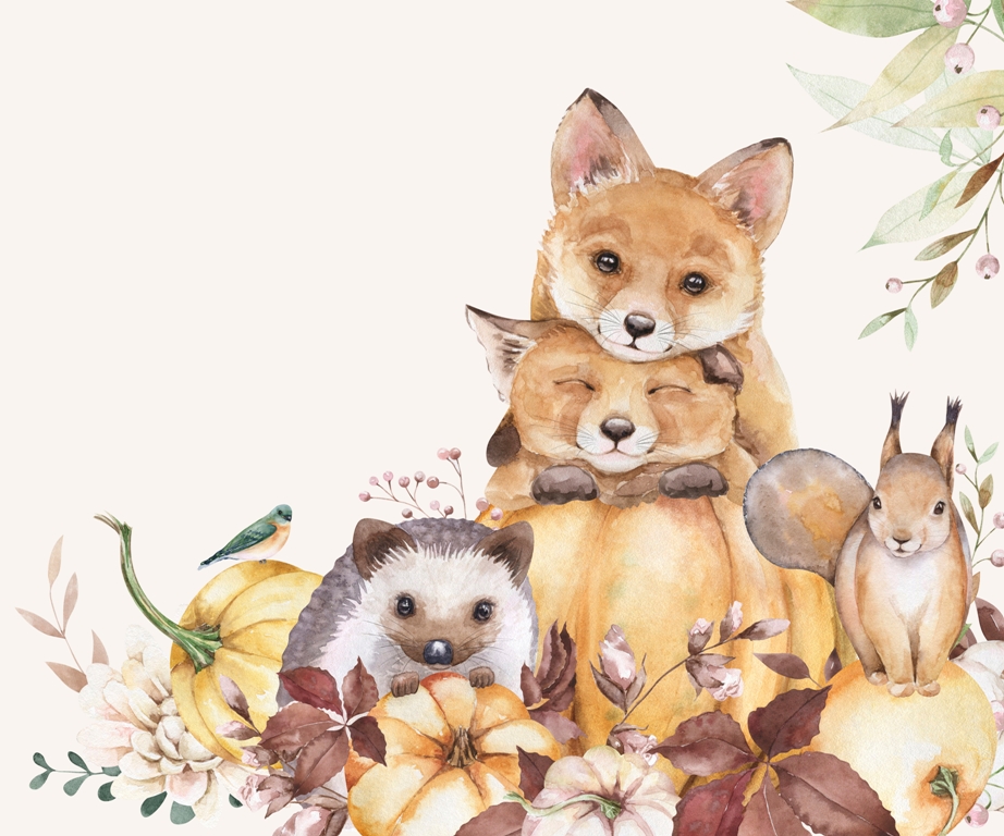 Fototapeta-Jesienne-Zwierzatka-Lesne_2170912811-1