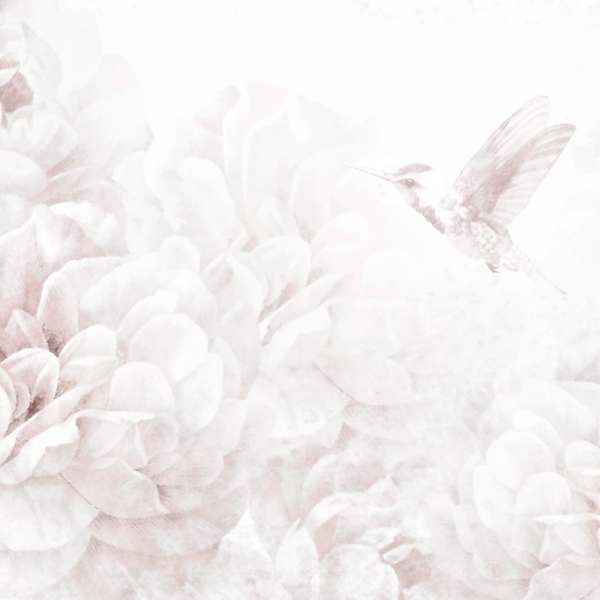 Freska Kolibris baltos spalvos