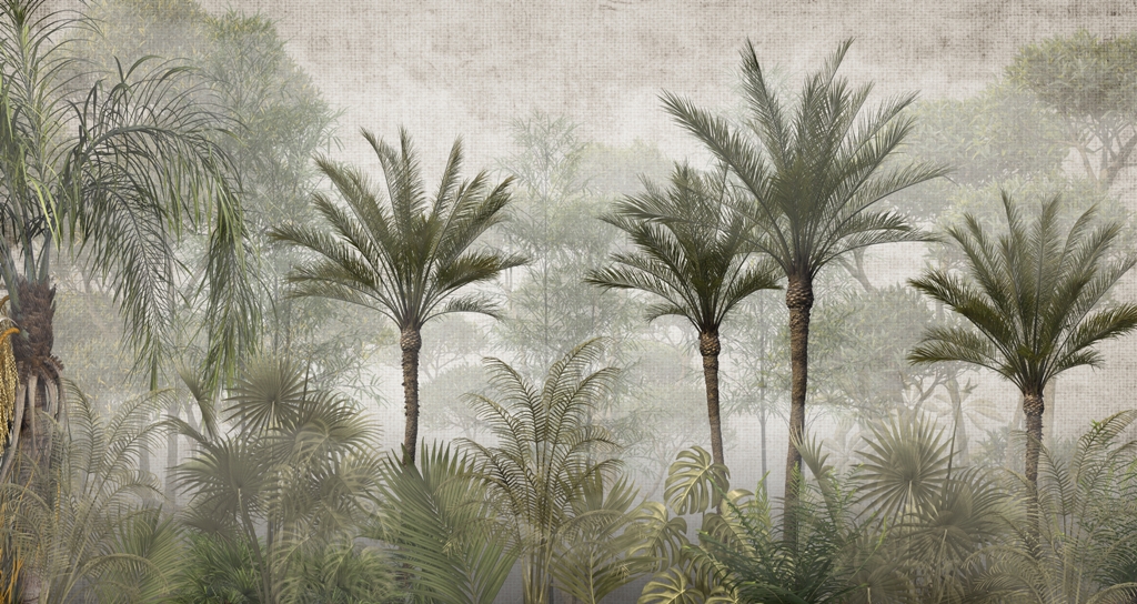 Fototapeta-Las-Wysokich-Palm-we-Mgle_2125123130-1