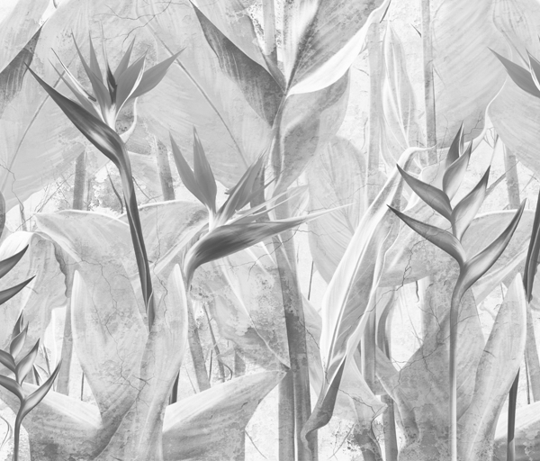 Vienspalviai Strelitzia gėlės tapetai