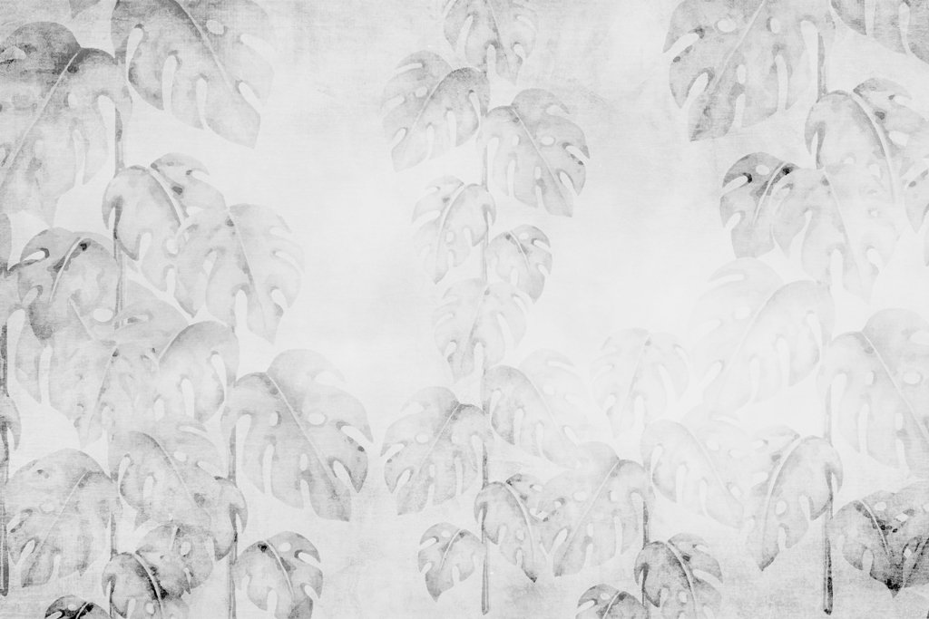Fototapeta-Niewidoczna-Monstera_2222035399-1