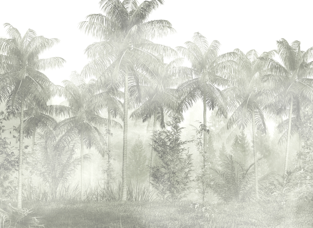 Fototapeta-Palmy-i-Mgla_2199726119-1