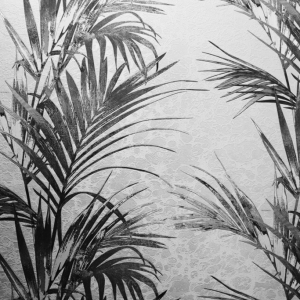 Sienų tapyba Palmės tamsoje