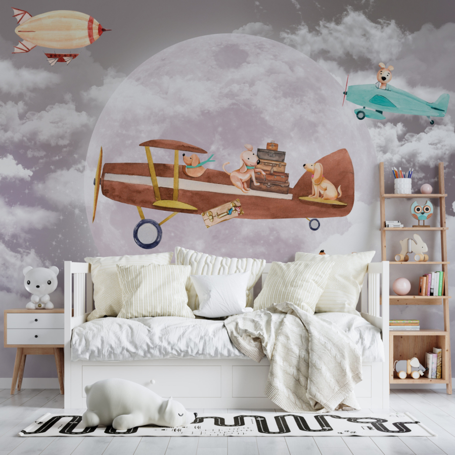 Câini murale pe un avion