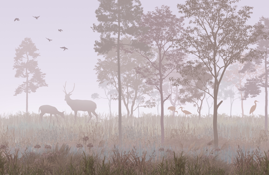 Fototapeta-Poranek-w-Lesie_2202705495