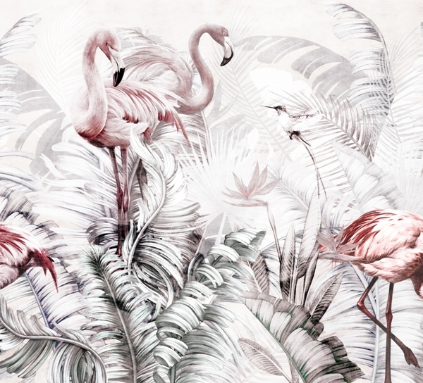 Nuotraukų užsklanda Flamingo šeima