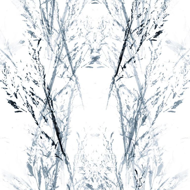 Fototapeta-Roslinna-Kompozycja_688610488-1