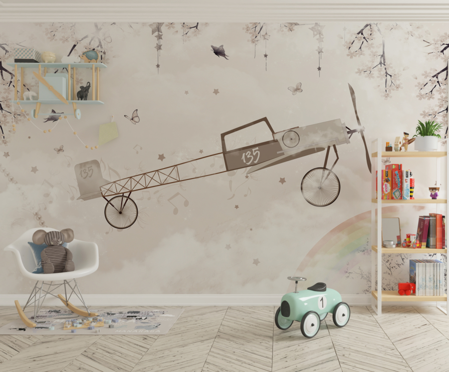 Mural Avion în cer