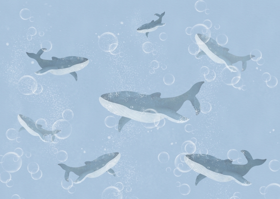 Fototapeta-Stado-Wielorybow_2366994219-1