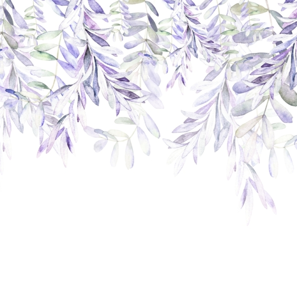 Violetinių šakelių sieninės lubos
