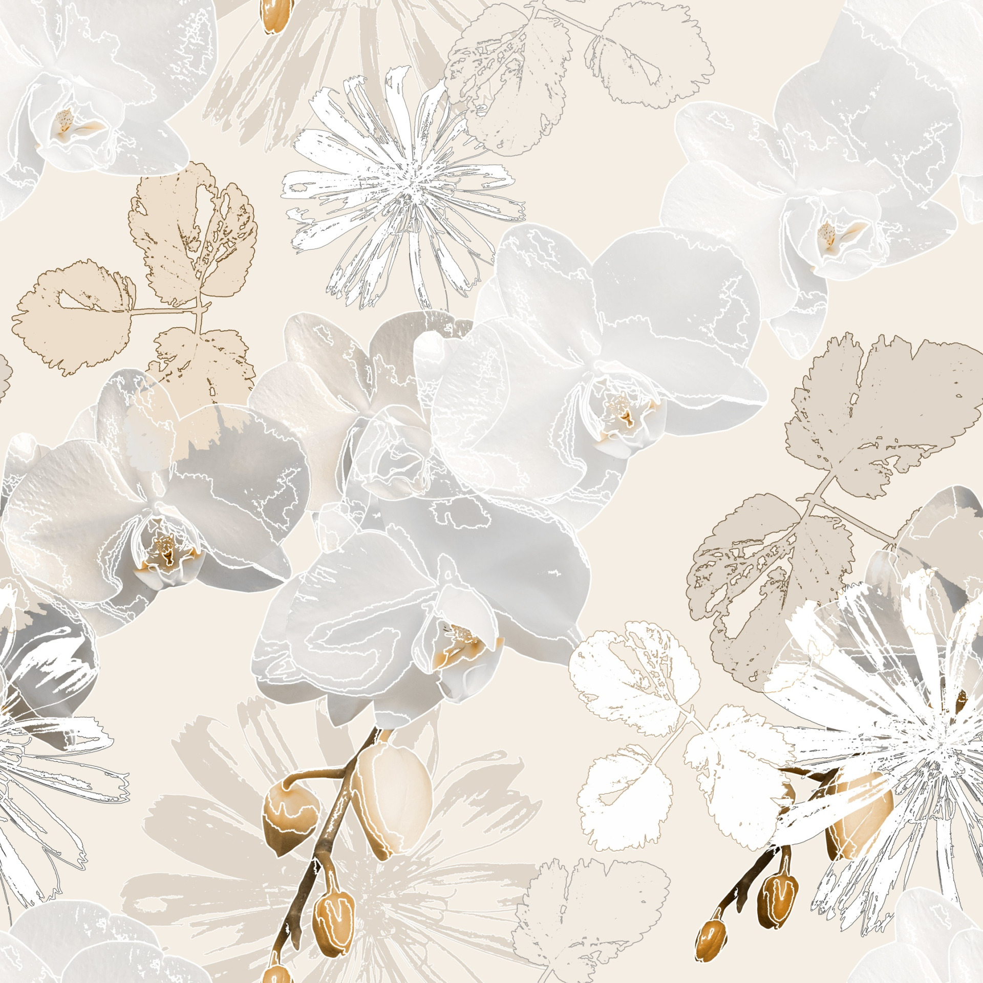 Fototapeta-Szare-Storczyki-i-Biale-Stokrotki_1521952985-2