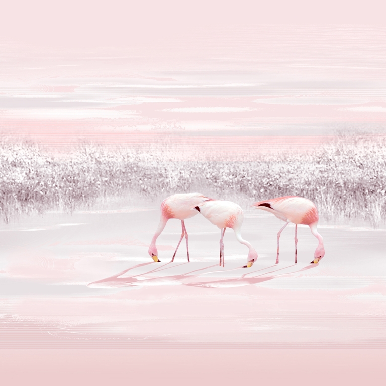 Fototapeta-Trzy-Flamingi_2174407233-1