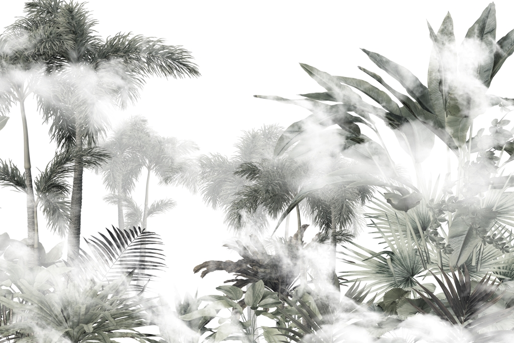 Fototapeta-Wierzcholki-Palm-Za-Mgla_1966152151-1