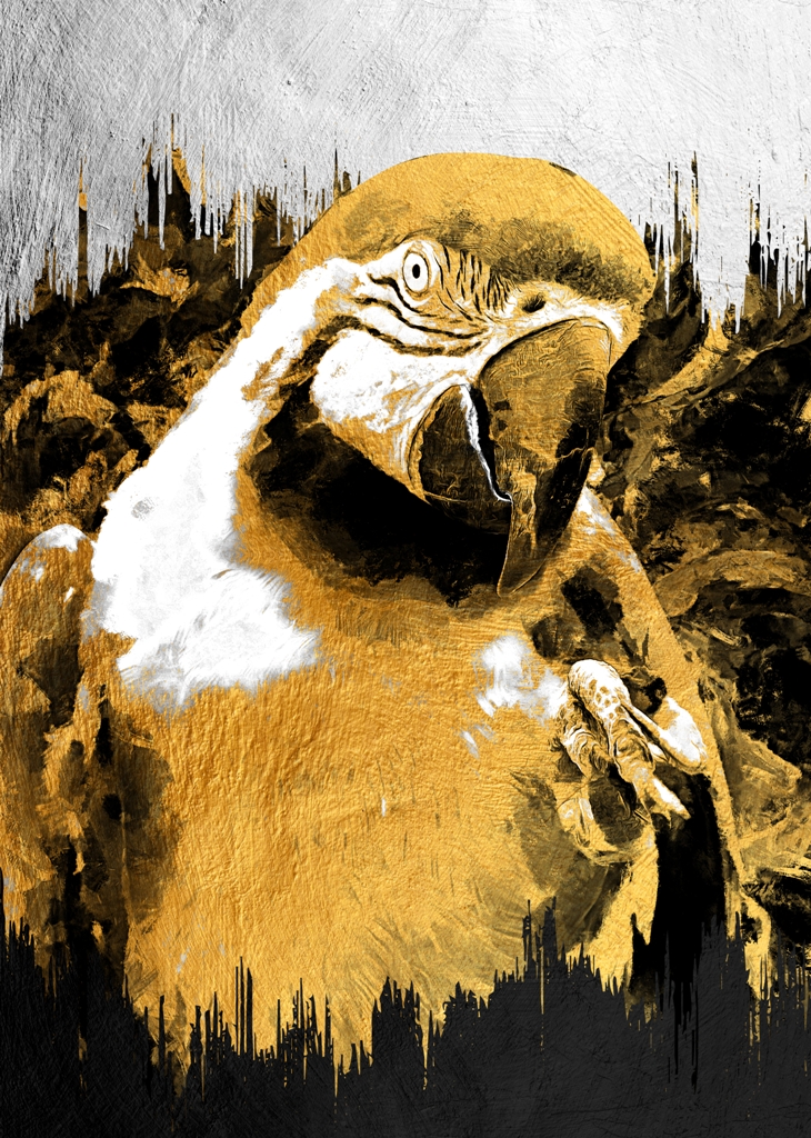 Fototapeta-Zolta-Papuga_2109079709