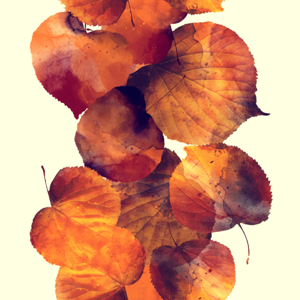 Rudens lapai tapetai
