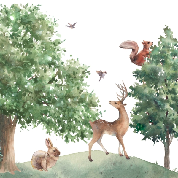 Fototapeta Lesní zvířata