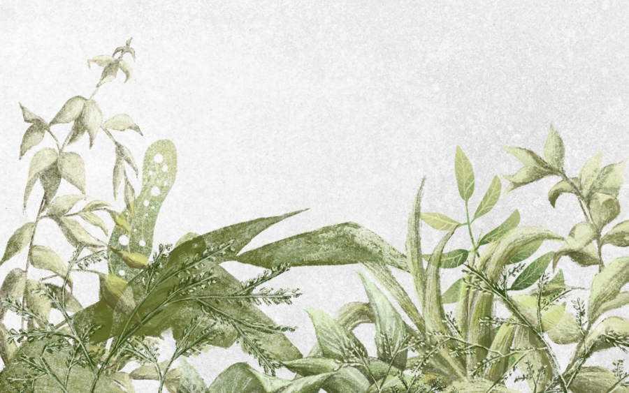 Beautiful,Green,Leaves,With,Texture,Background