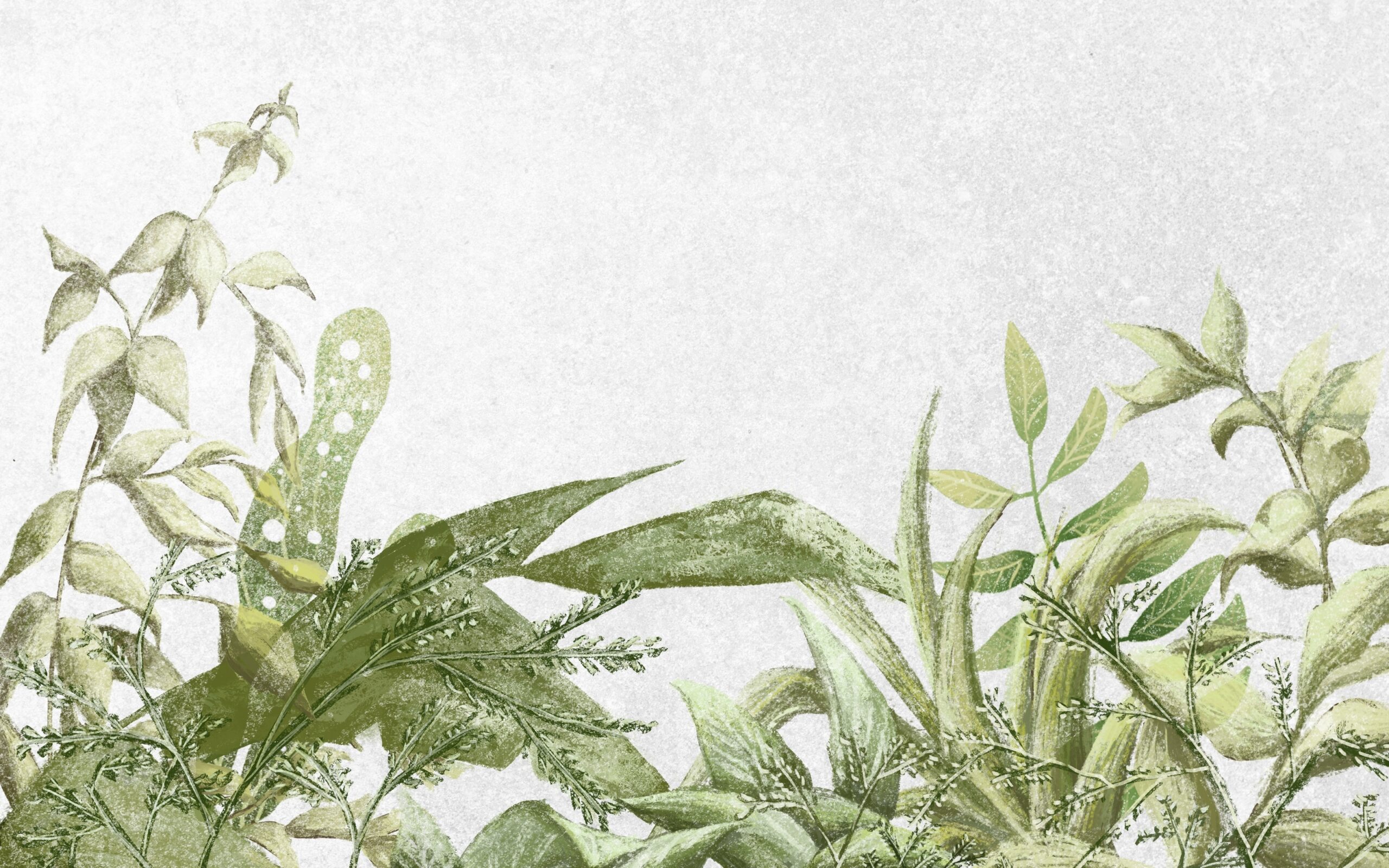 Beautiful,Green,Leaves,With,Texture,Background