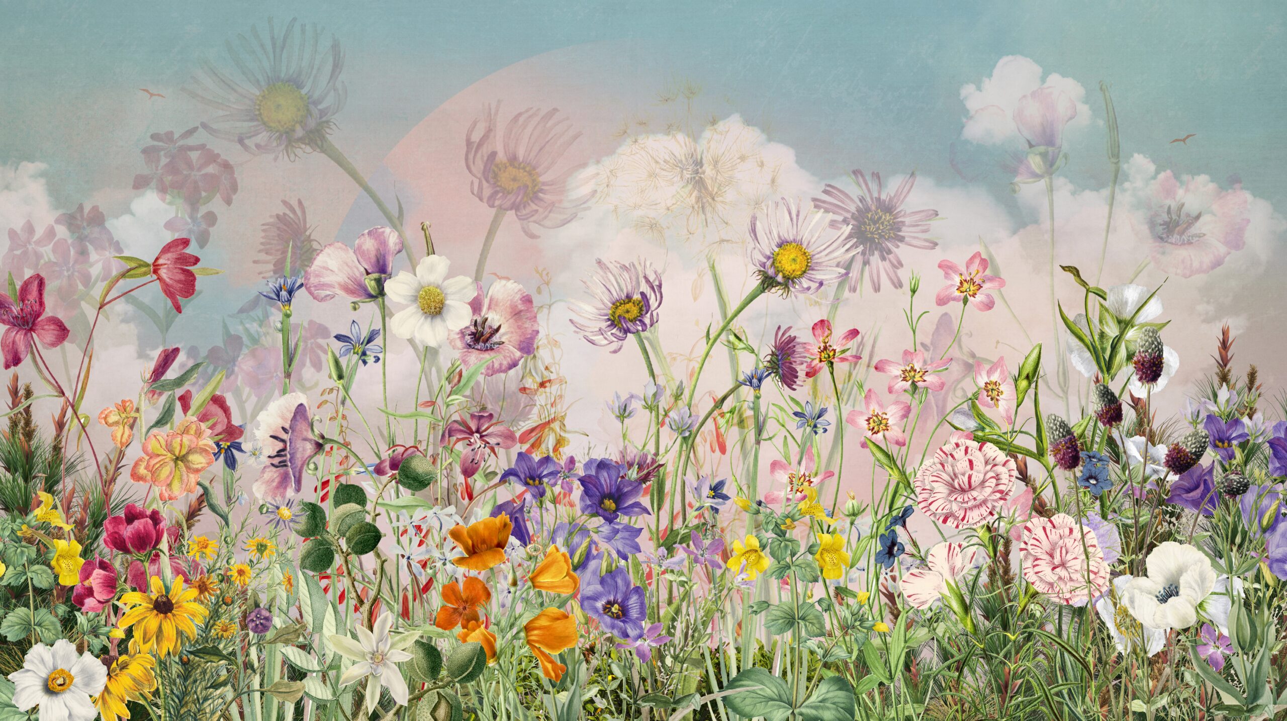 Bunte Wiese Tapete - obrazek 3